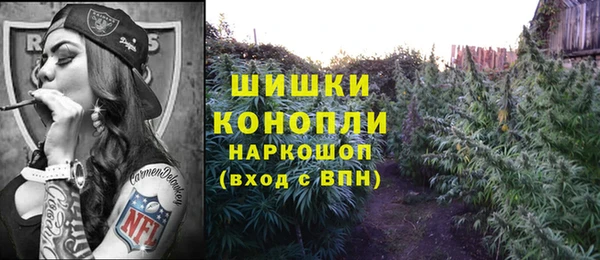 стаф Абдулино