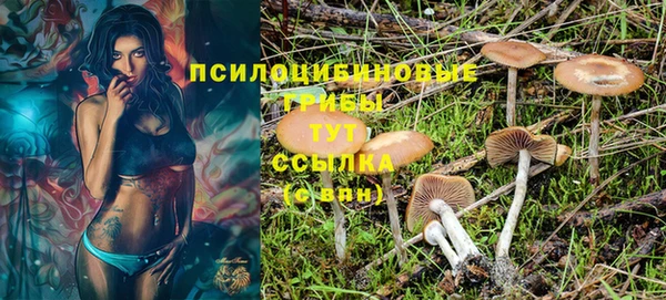 наркотики Алексеевка