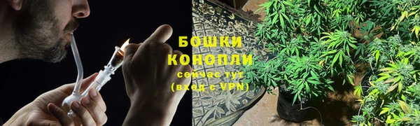 гашик Нязепетровск