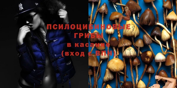 дживик Алзамай