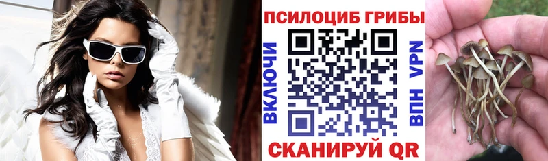 Галлюциногенные грибы Cubensis  Сольцы 